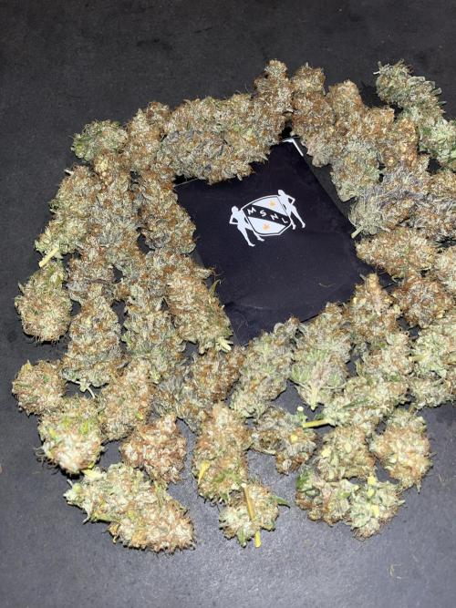 Runtz. MSNL. Week 16