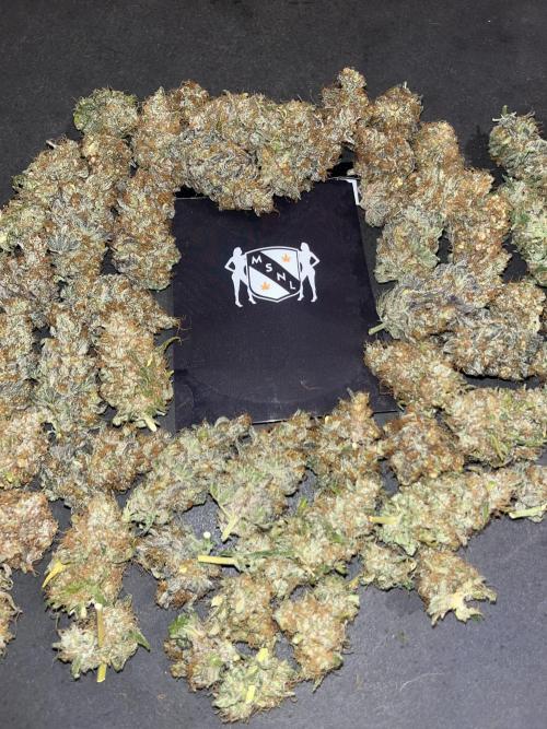 Runtz. MSNL. Week 16