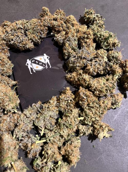 Runtz. MSNL. Week 16