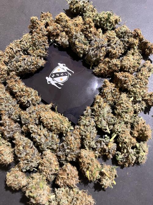 Runtz. MSNL. Week 16