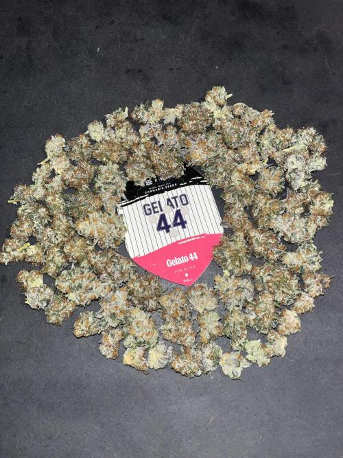 Gelato 44. RoyalQueenSeeds. Week 16