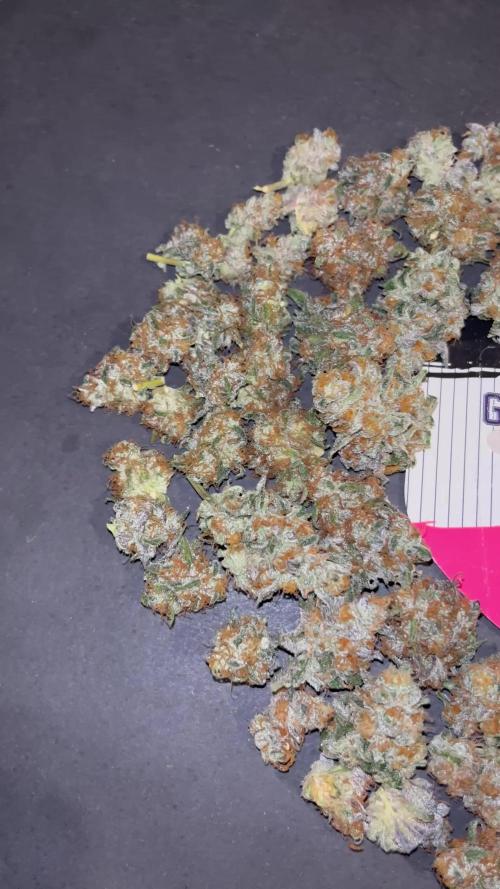 Gelato 44. RoyalQueenSeeds