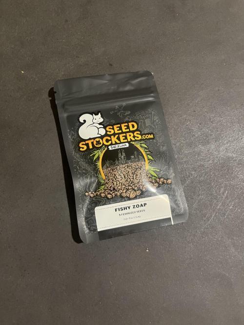 Fishy Zoap. Seedstockers. Week 0