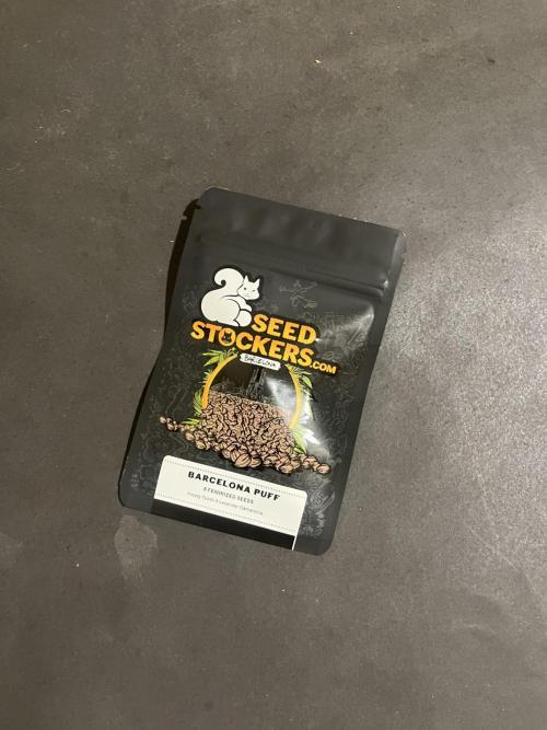 Barcelona Puff. Seedstockers. Week 0