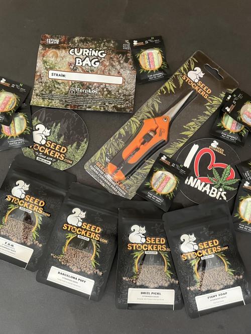 Drizl Pickl. Seedstockers. Week 0