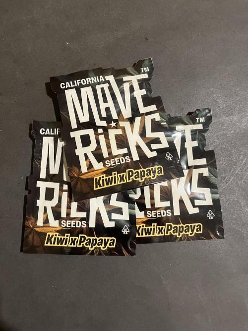 Kiwi x Papaya. Mavericks Genetics. Week 0