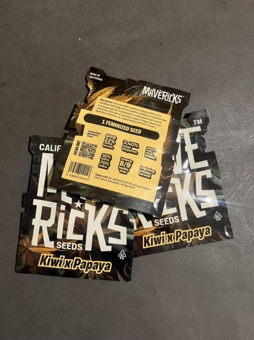 Kiwi x Papaya. Mavericks Genetics. Week 0