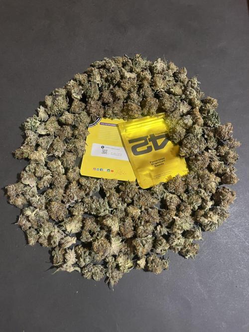 Lemon Cherry Runtz. Fastbuds. Week 17