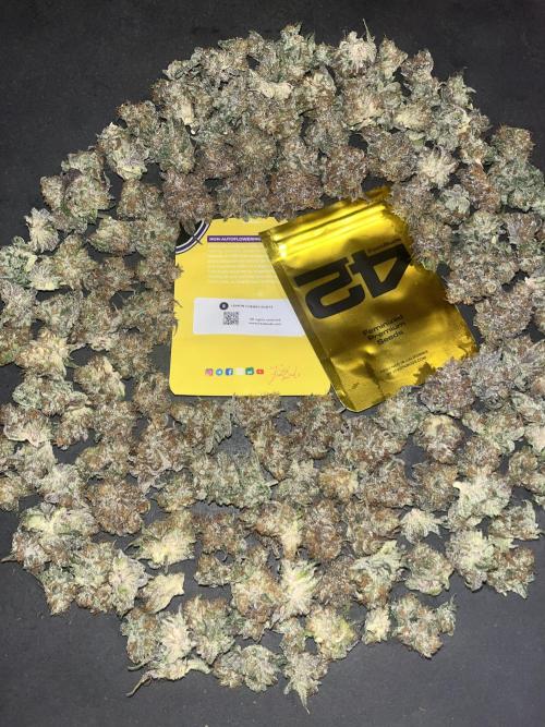 Lemon Cherry Runtz. Fastbuds. Week 17