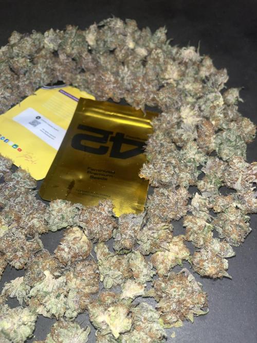 Lemon Cherry Runtz. Fastbuds. Week 17