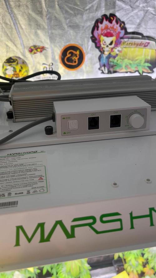 Fishy Zoap. Seedstockers