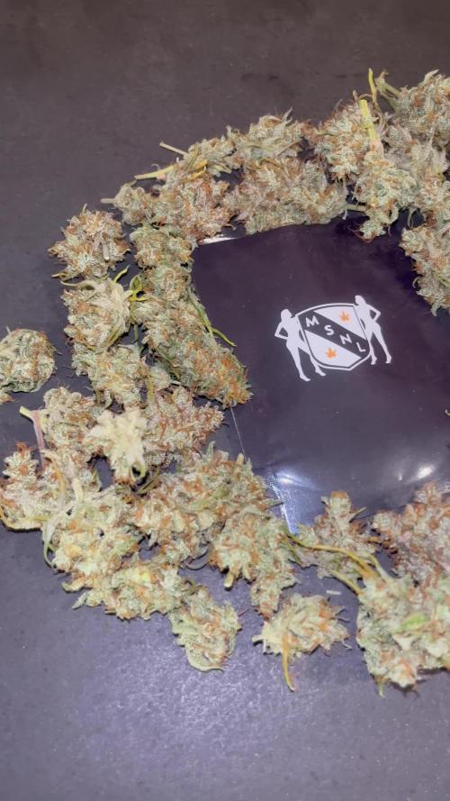 GG4. MSNL