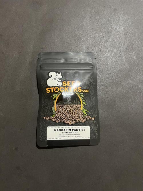 Mandarin Panties. Seedstockers. Week 0