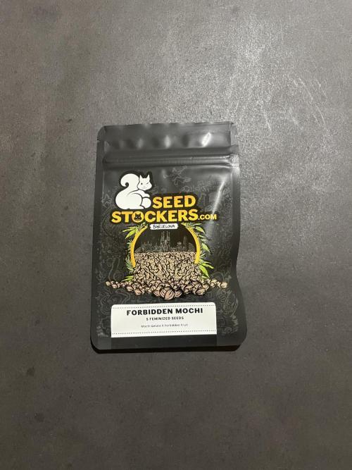 Forbidden Mochi. Seedstockers. Week 0