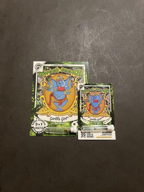 Gorilla Girl F1. Sweetseeds. Week 0