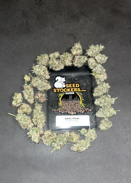 Drizl Pickl. Seedstockers. Week 15