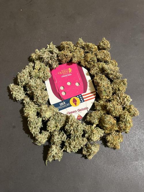 Green Gelato. RoyalQueenSeeds. Week 16