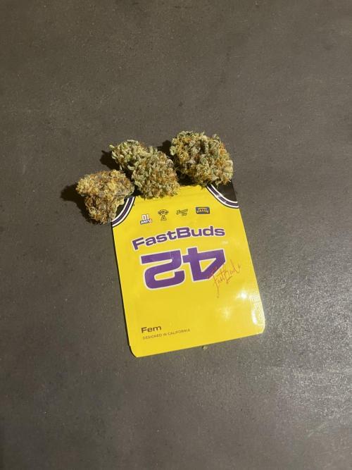 Papayton. Fastbuds. Week 16
