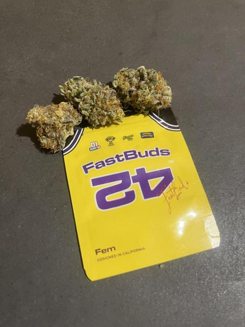 Papayton. Fastbuds. Week 16