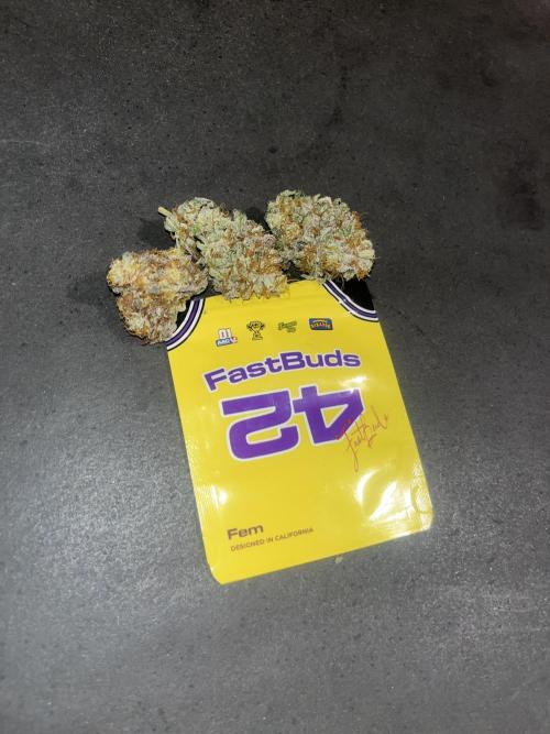 Papayton. Fastbuds. Week 16