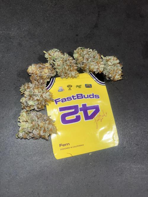 Papayton. Fastbuds. Week 16
