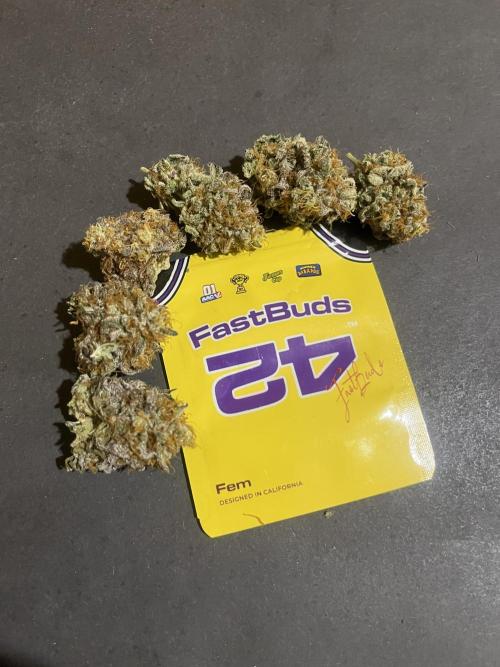 Papayton. Fastbuds. Week 16