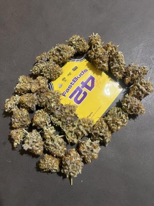 Papayton. Fastbuds. Week 16