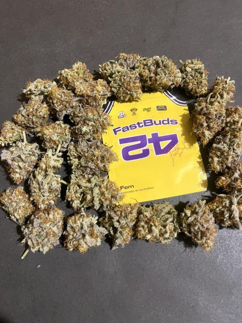 Papayton. Fastbuds. Week 16