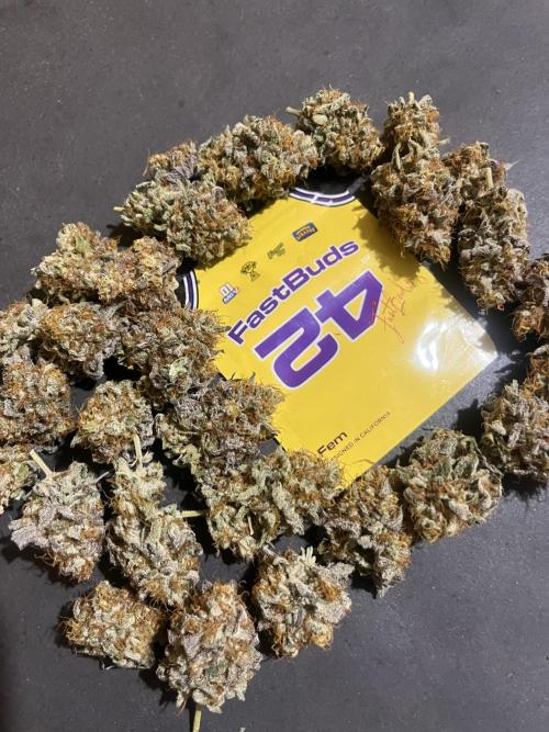 Papayton. Fastbuds. Week 16