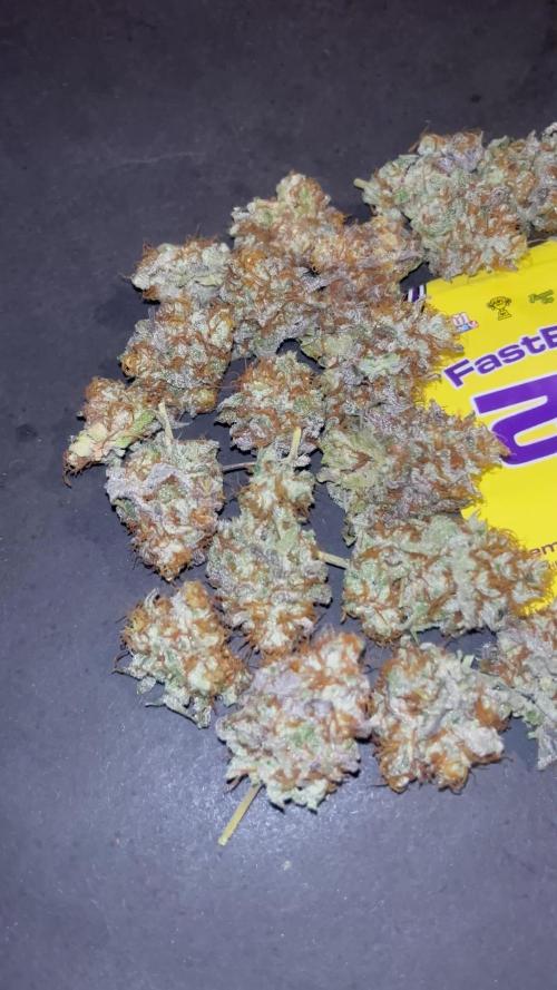 Papayton. Fastbuds