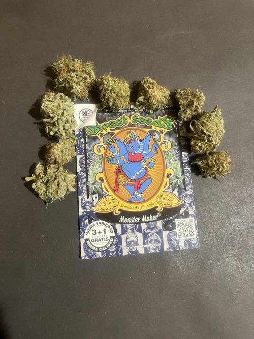 Monster Maker. Sweetseeds. Week 16