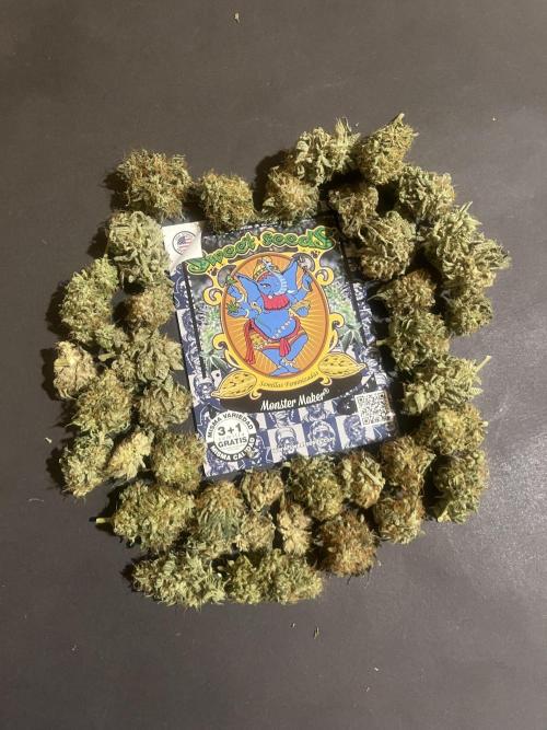 Monster Maker. Sweetseeds. Week 16