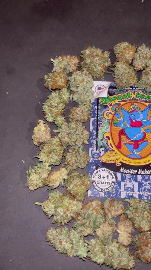 Monster Maker. Sweetseeds