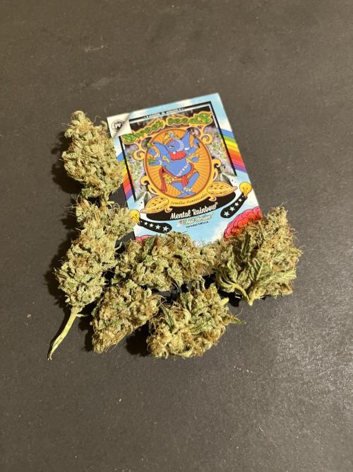 Mental Rainbow fast. Sweetseeds. Week 15