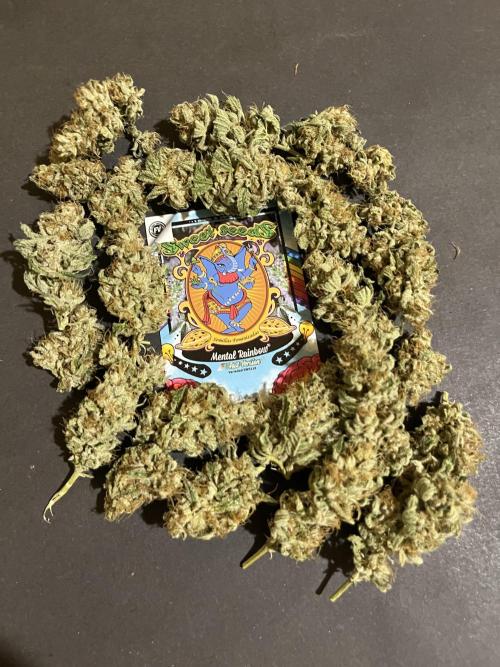 Mental Rainbow fast. Sweetseeds. Week 15