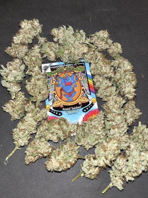 Mental Rainbow fast. Sweetseeds. Week 15