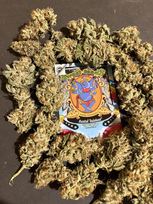 Mental Rainbow fast. Sweetseeds. Week 15