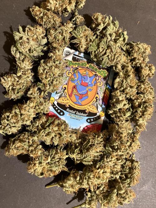 Mental Rainbow fast. Sweetseeds. Week 15