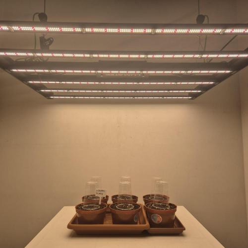 New drop fastbuds 💪. Week 0