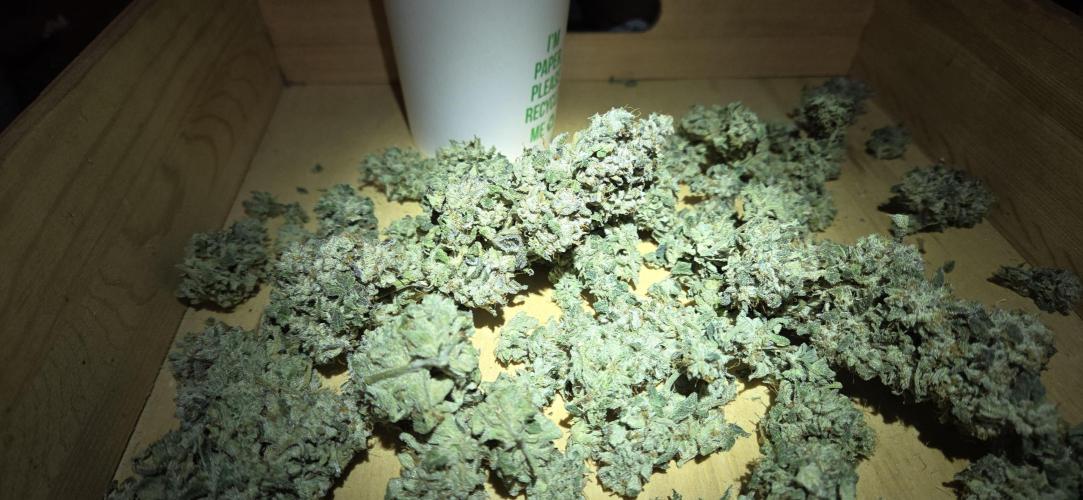 Frozen Biscotti Bag Seed. Week 18