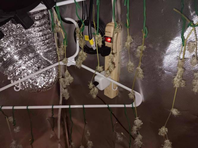 Bluematic Auto 2. Week 12