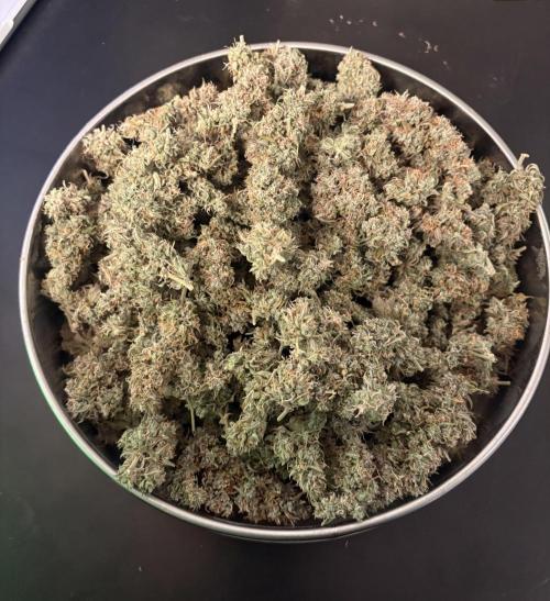 #8 – Gorilla Cookies Auto. Week 11