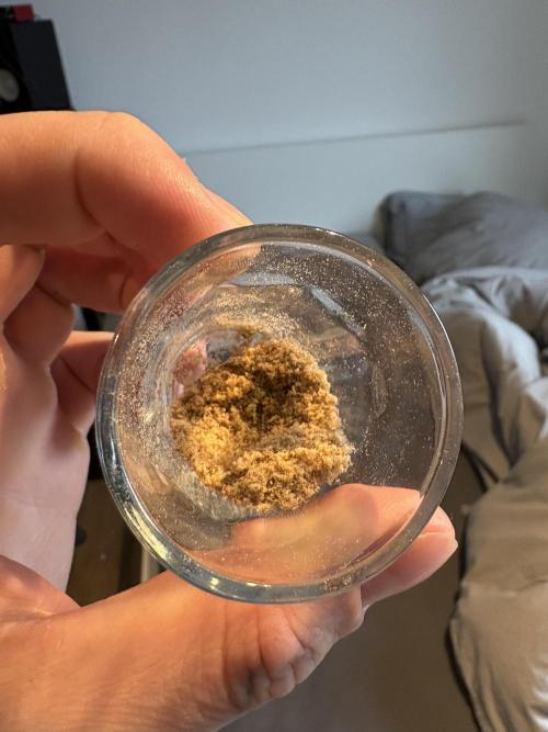 #8 – Gorilla Cookies Auto. Week 11