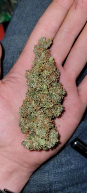 Comment by Stonerandgrower photo #1