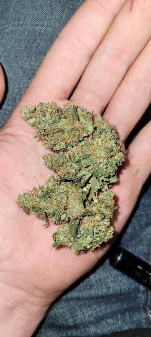 Comment by Stonerandgrower photo #2