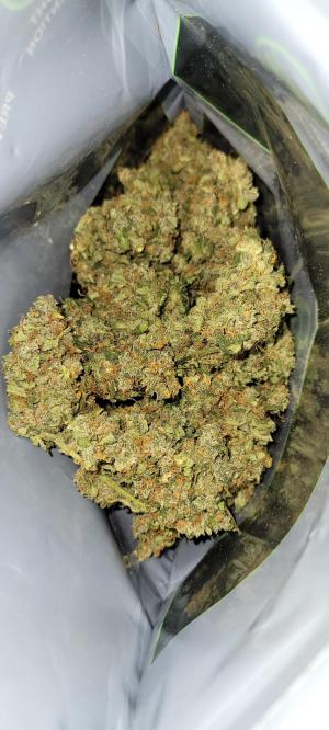 Comment by Stonerandgrower photo #3