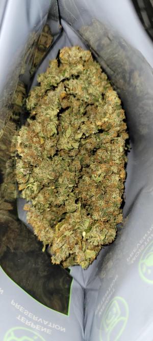 Comment by Stonerandgrower photo #4