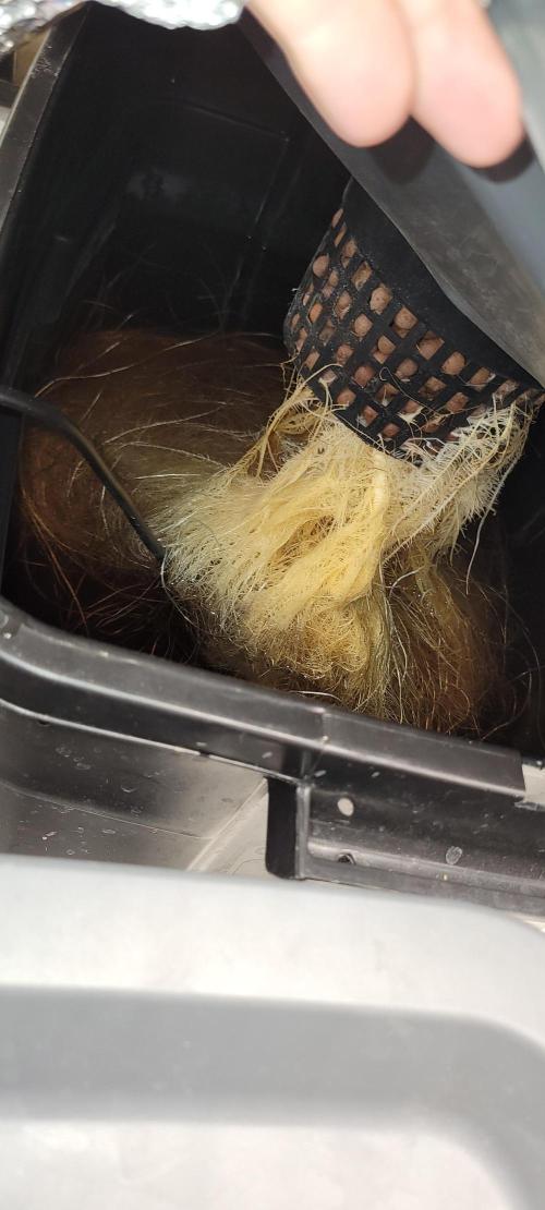 Dan's adventures in growing. Week 7