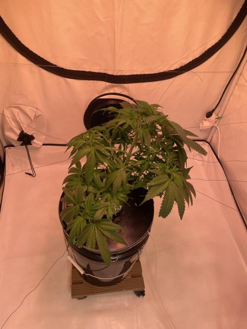 Unlock critical thinking. Week 8