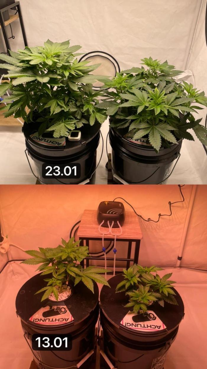 Unlock critical thinking. Week 7